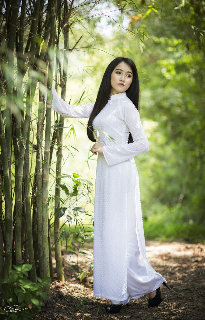 丁香花免费完整高清电影观看